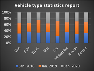 Vehicle Type Statistics Report